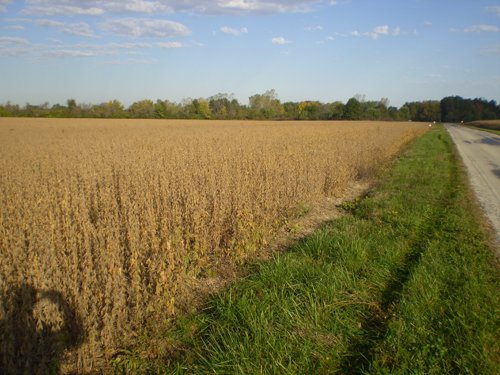 Property photo 15 - 75+/- Acres in 9 Tracts